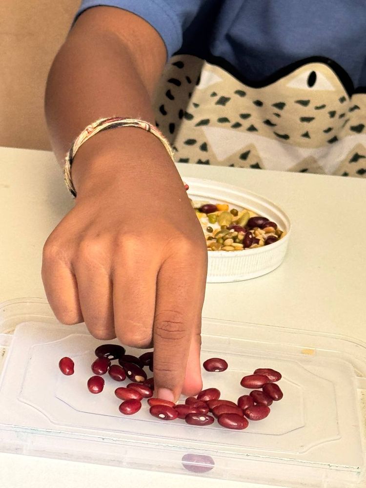 Child sorting and counting activity for cognitive development